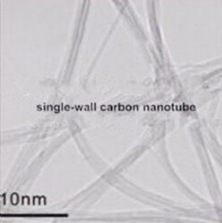 Single wall carbon nanotube